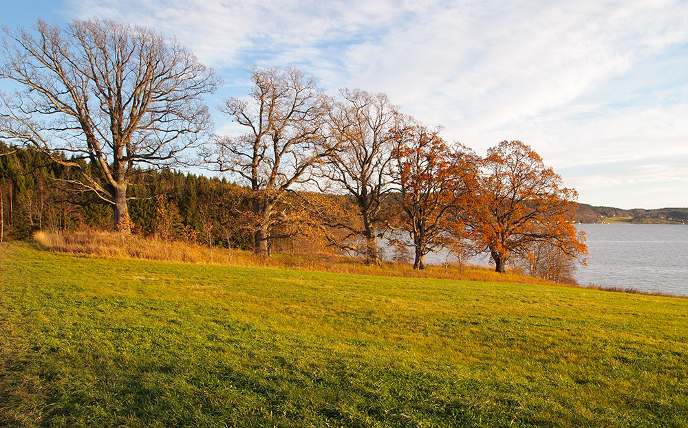 Melsom plante- og dyrefredningsområde ligger i et gammelt kulturlandskap i Sandefjord kommune.
