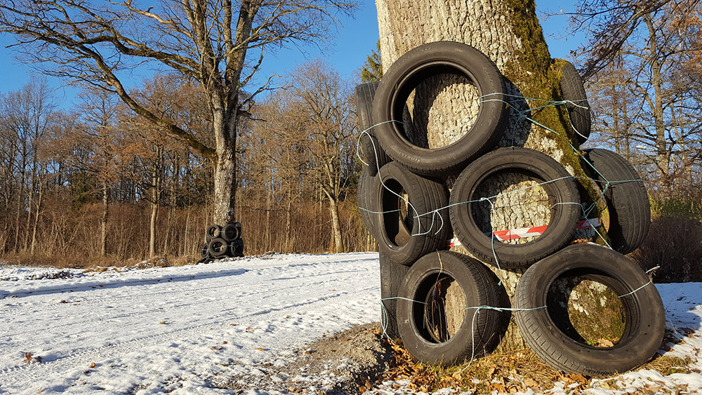 Tildekking av hule eiker før utbygging i Frodeåsen, Tønsberg.