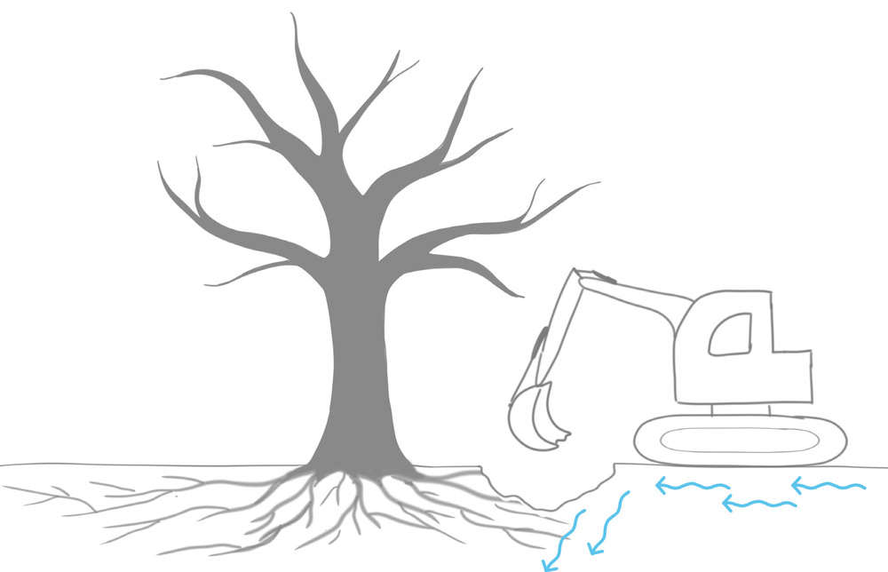 Ved graving under trekronen ødelegges røttene. Graving, selv langt unna et tre, kan også endre treets vanntilgang, noe som i verste fall kan ta livet av treet.