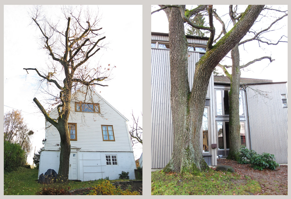 Bebyggelse som oppføres rett ved boliger vil før eller senere føre til konflikt. Et eldre hus til venstre, et nytt til høyre, begge i Oslo.