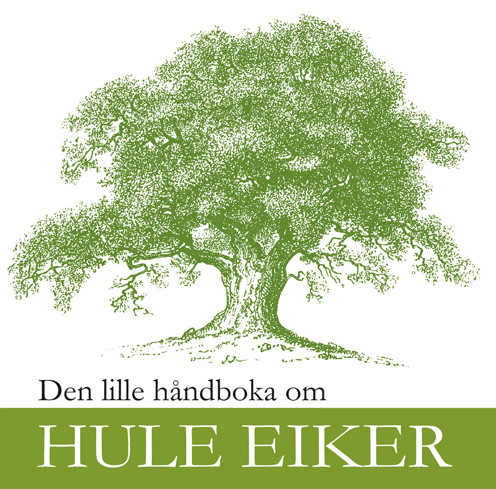 Den lille håndboka om hule eiker er spesielt tilrettelagt for den private grunneier som vil lære mer om hule eiker.